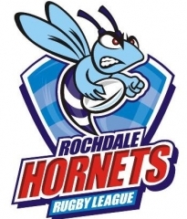 Hornets Logo
